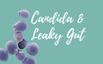 Your Gut Microbiome Explained