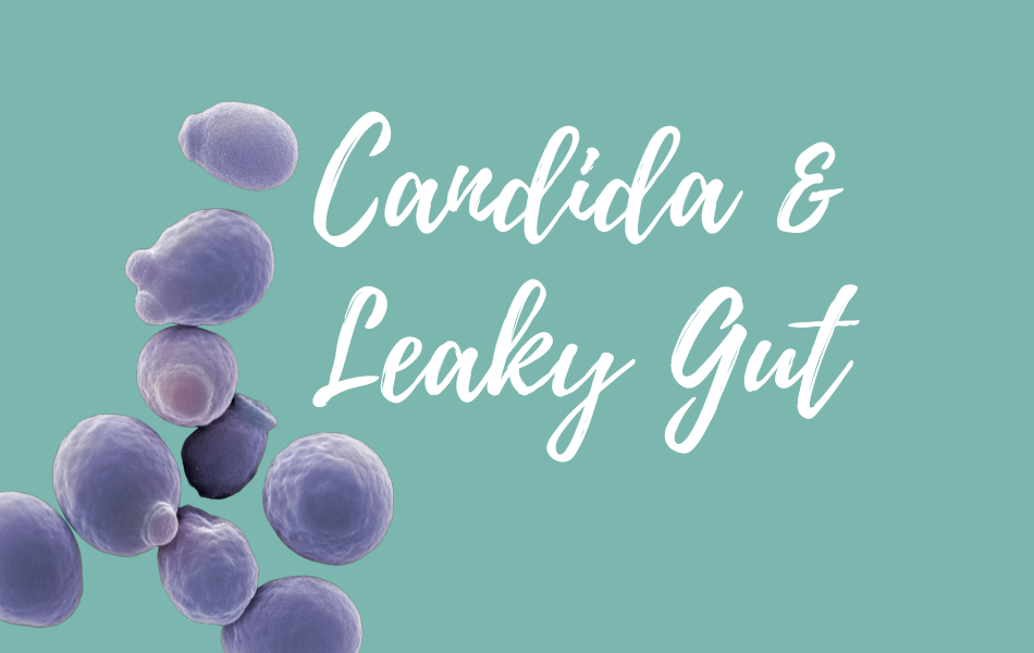 Your Gut Microbiome Explained