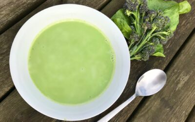 Broccoli Soup