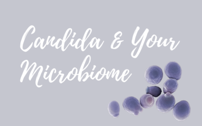 Candida Albicans – When Good Bacteria Go Bad