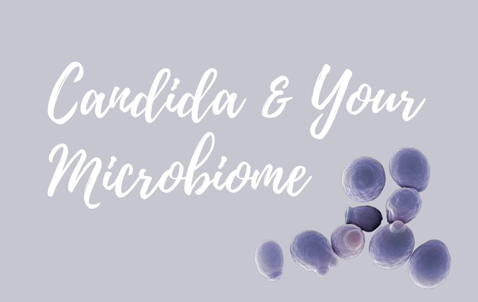 Candida Albicans – When Good Bacteria Go Bad